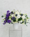 紫藍色系盆花